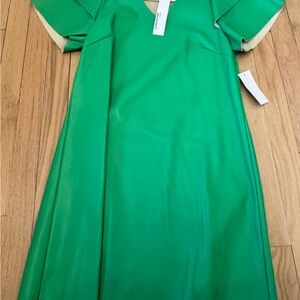 Dolce Cabo women’s green leather mini dress